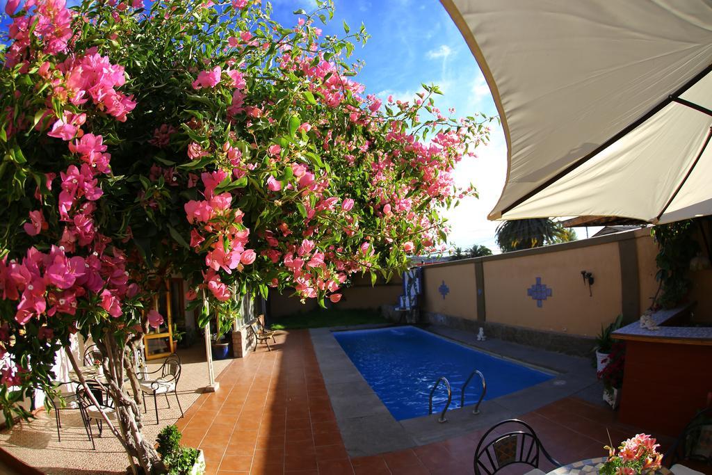 Hotel Puerto De Vega Vallenar Eksteriør bilde